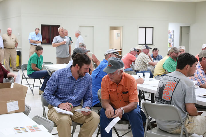 Sweet potato growers meet about potentially serious new pest