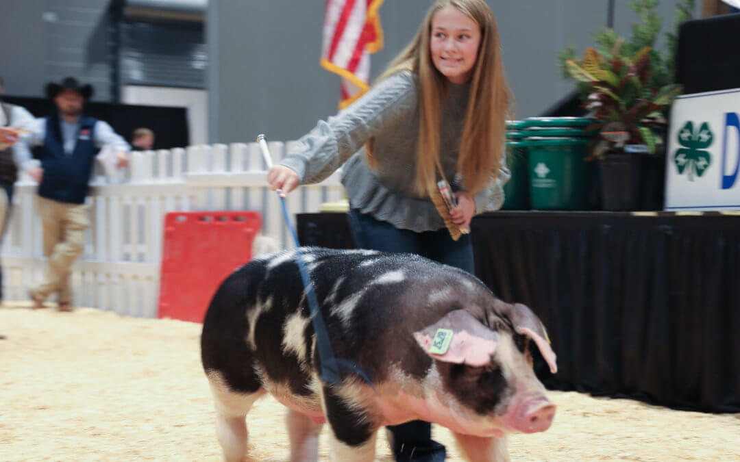 Dixie National Sale of Junior Champions Builds Future Leaders