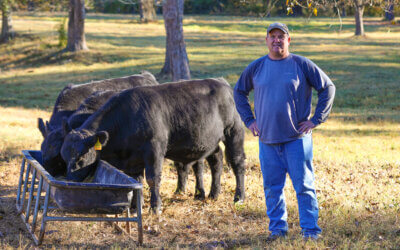 A Labor of Love: McCormick Dedicates his Life to Bettering Farm Bureau and Farming