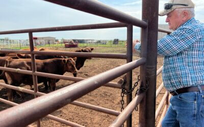 Beef Cattle Tour gives Farm Bureau members new perspective, ideas on cattle business